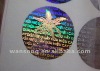 2011 new customized 3D hologram sticker