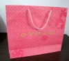 2011 shopping  paper bag
