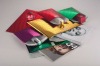 2012 pearlised film envelop bag/courier bag/mailing bag