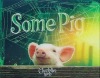 3D PIG Picture