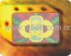 4D hologram label