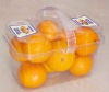 Blister Disposable Square Fruit Container
