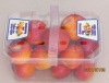 Blister Disposable Square Fruit Container
