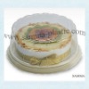 Blister Plastic Round Food Container