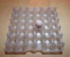 Clear plastic PVC recyclable egg tray for 30
