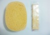 Compressed Sponge for clean Ps plate