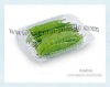 Disposable Blister Vegetable Container