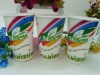 Double PE Coated Paper Cup 16oz