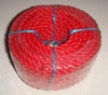 Double Twisted RED PE MONOFILAMENT Rope