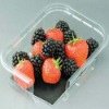 Fruit packaging+(ISO9001)