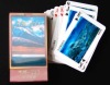 Good Entertainment 3D Playing Cards