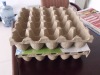 HOT!! Paper Pulp 25 Eggs Tray