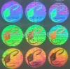Holographic sticker anti-counterfeiting