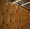 PE coating paper ,super quality and reasonable price