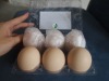 PET safe and beauty egg tray packing