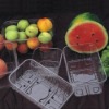Plastic fruit case