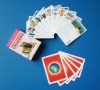 Playing Cards/game cards/advertising cards/poker cards/plastic cards
