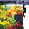 Poster Digital Printing-for Indoor(UNIC-DP020)