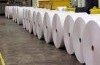 Uncoated NewsPrint Paper in Reels And In Pallet for sale