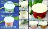 Various Custom Frozen Yogurt Cups