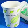 biodegradable PLA paper coffee cup