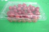 blister food packing container for fruit