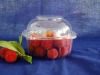 clear plastic fruit box