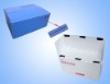 collapsible plastic corrugated boxes