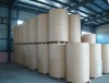 food grade pe coated paper for cup
