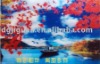 high quality 3D Lenticular Picture