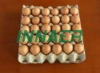 high quality Environmental protection pulp egg tray (30 inside)