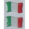 Italy Flag Shaped Self-adhesive Label