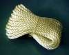 PE monofilament twisted rope