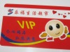 Plastic Promotional VIP Card in holidays