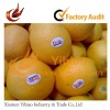 Self adhesive new fruit custom labels OEM 2011