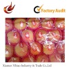 Self adhesive Xiamen fruit sticker for promotion